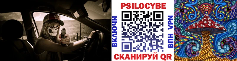 купить закладку  Весьегонск  Псилоцибиновые грибы мухоморы 